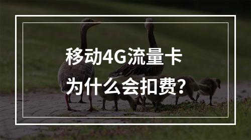 移动4G流量卡为什么会扣费？