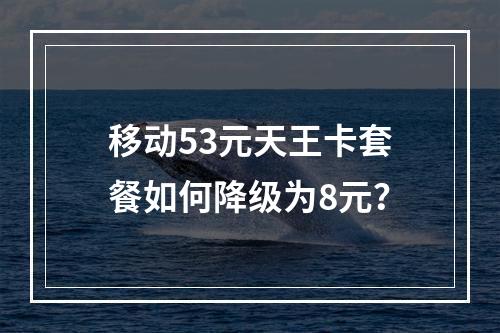 移动53元天王卡套餐如何降级为8元？