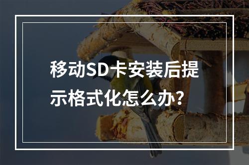移动SD卡安装后提示格式化怎么办？