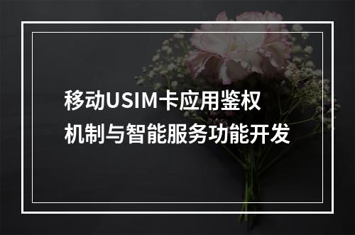 移动USIM卡应用鉴权机制与智能服务功能开发