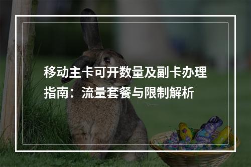 移动主卡可开数量及副卡办理指南：流量套餐与限制解析