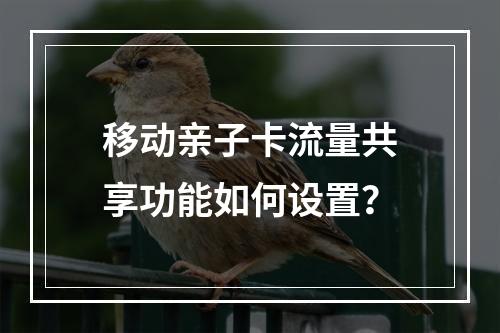 移动亲子卡流量共享功能如何设置？
