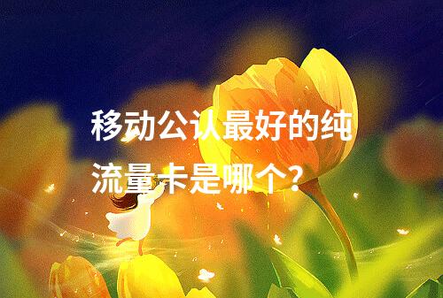 移动公认最好的纯流量卡是哪个？