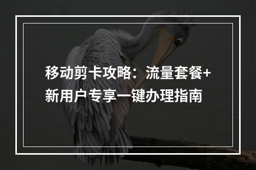 移动剪卡攻略：流量套餐+新用户专享一键办理指南