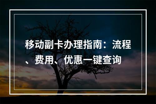移动副卡办理指南：流程、费用、优惠一键查询