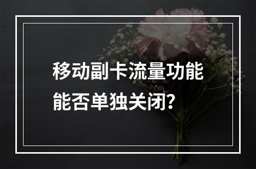 移动副卡流量功能能否单独关闭？