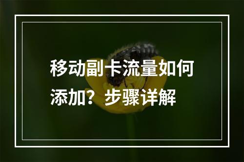 移动副卡流量如何添加？步骤详解