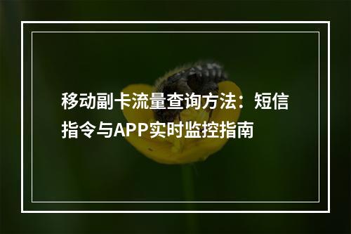 移动副卡流量查询方法：短信指令与APP实时监控指南