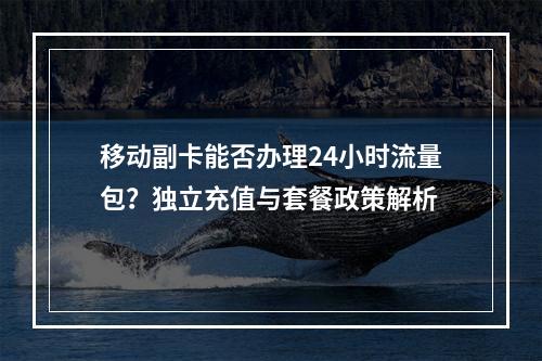 移动副卡能否办理24小时流量包？独立充值与套餐政策解析
