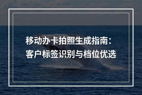 移动办卡拍照生成指南：客户标签识别与档位优选
