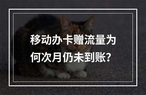 移动办卡赠流量为何次月仍未到账？