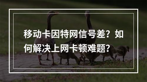 移动卡因特网信号差？如何解决上网卡顿难题？