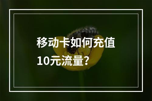 移动卡如何充值10元流量？