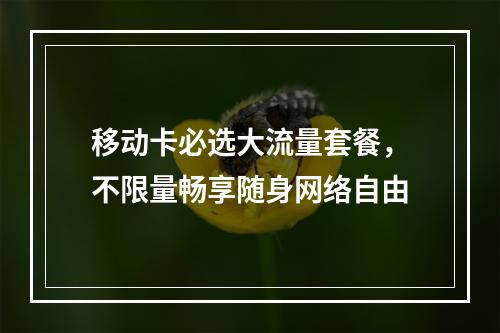移动卡必选大流量套餐，不限量畅享随身网络自由