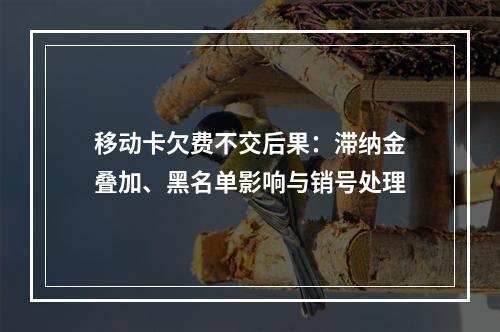 移动卡欠费不交后果：滞纳金叠加、黑名单影响与销号处理