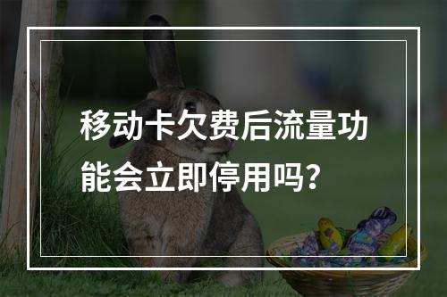 移动卡欠费后流量功能会立即停用吗？