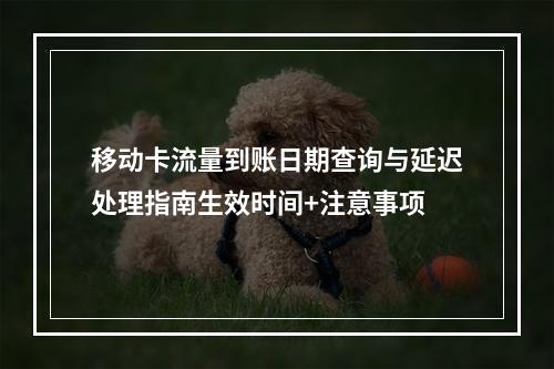 移动卡流量到账日期查询与延迟处理指南生效时间+注意事项
