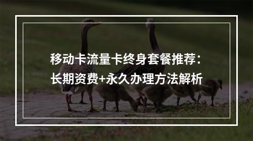 移动卡流量卡终身套餐推荐：长期资费+永久办理方法解析