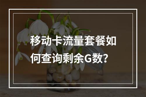 移动卡流量套餐如何查询剩余G数？