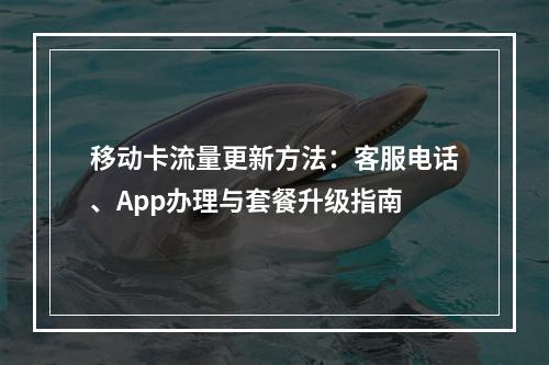 移动卡流量更新方法：客服电话、App办理与套餐升级指南
