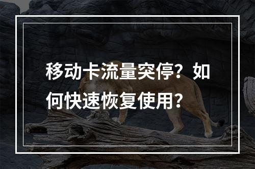 移动卡流量突停？如何快速恢复使用？