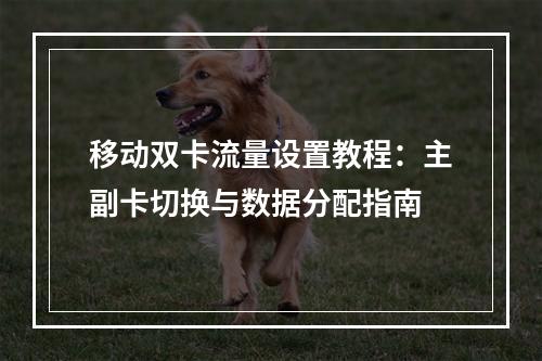 移动双卡流量设置教程：主副卡切换与数据分配指南
