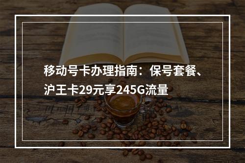 移动号卡办理指南：保号套餐、沪王卡29元享245G流量