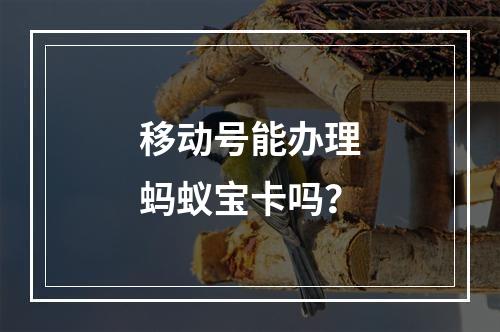 移动号能办理蚂蚁宝卡吗？