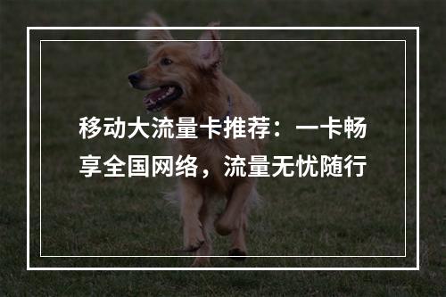 移动大流量卡推荐：一卡畅享全国网络，流量无忧随行
