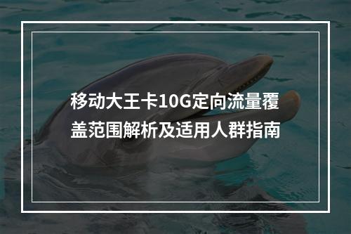 移动大王卡10G定向流量覆盖范围解析及适用人群指南