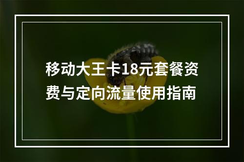 移动大王卡18元套餐资费与定向流量使用指南