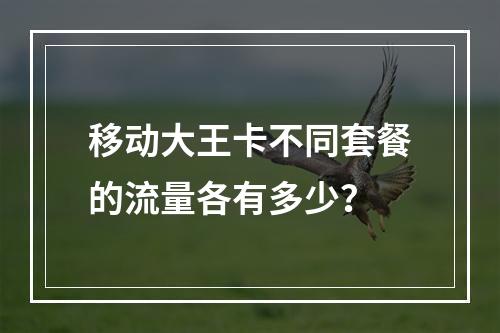 移动大王卡不同套餐的流量各有多少？