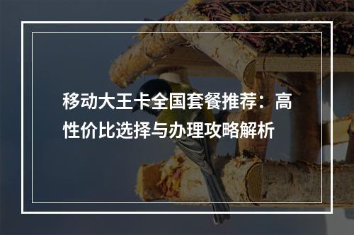 移动大王卡全国套餐推荐：高性价比选择与办理攻略解析