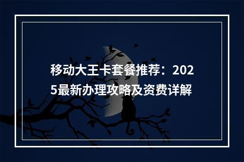 移动大王卡套餐推荐：2025最新办理攻略及资费详解