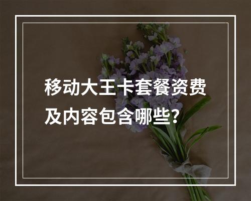 移动大王卡套餐资费及内容包含哪些？