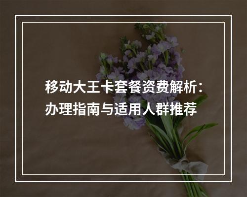 移动大王卡套餐资费解析：办理指南与适用人群推荐
