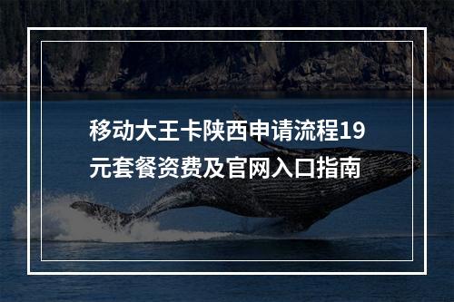 移动大王卡陕西申请流程19元套餐资费及官网入口指南
