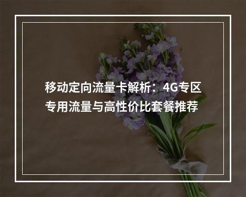移动定向流量卡解析：4G专区专用流量与高性价比套餐推荐