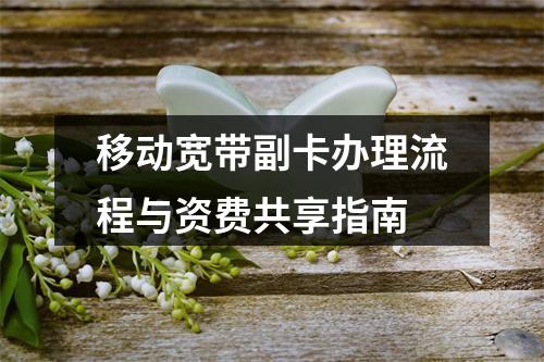 移动宽带副卡办理流程与资费共享指南