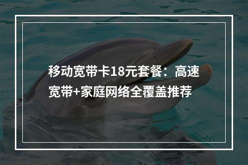 移动宽带卡18元套餐：高速宽带+家庭网络全覆盖推荐