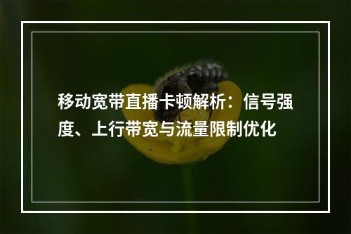 移动宽带直播卡顿解析：信号强度、上行带宽与流量限制优化