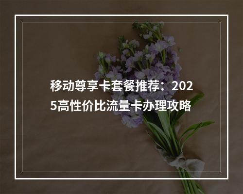 移动尊享卡套餐推荐：2025高性价比流量卡办理攻略