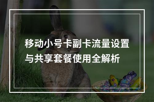 移动小号卡副卡流量设置与共享套餐使用全解析