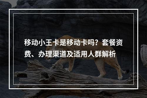 移动小王卡是移动卡吗？套餐资费、办理渠道及适用人群解析