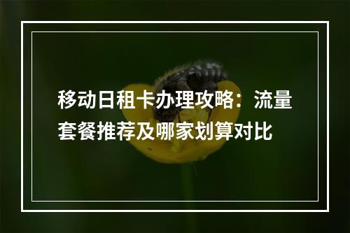 移动日租卡办理攻略：流量套餐推荐及哪家划算对比