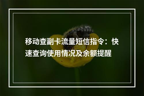 移动查副卡流量短信指令：快速查询使用情况及余额提醒