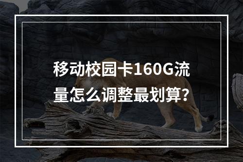 移动校园卡160G流量怎么调整最划算？