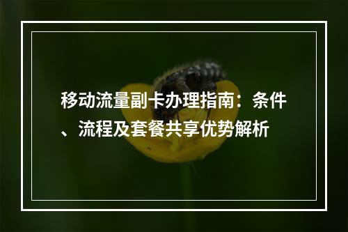 移动流量副卡办理指南：条件、流程及套餐共享优势解析