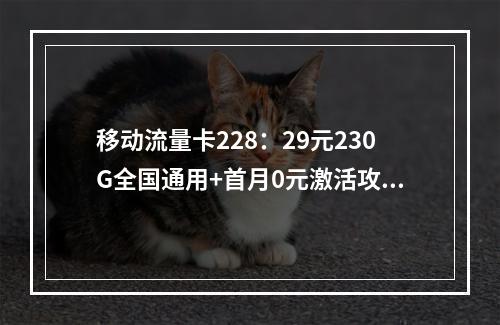 移动流量卡228：29元230G全国通用+首月0元激活攻略