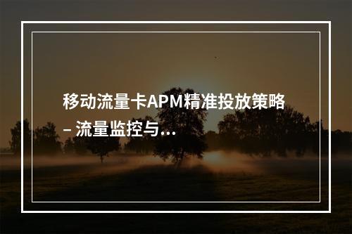 移动流量卡APM精准投放策略 – 流量监控与智能优化指南